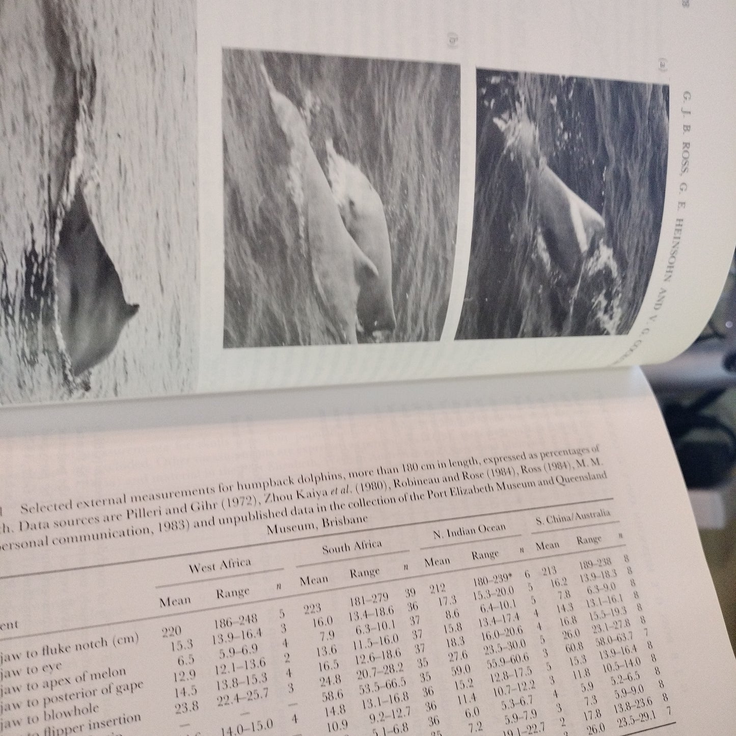 Handbook of Marine Mammals edited by Sam H. Ridgway and Sir Richard Harrison. First edition. Vol 5 The First Book of Dolphins.