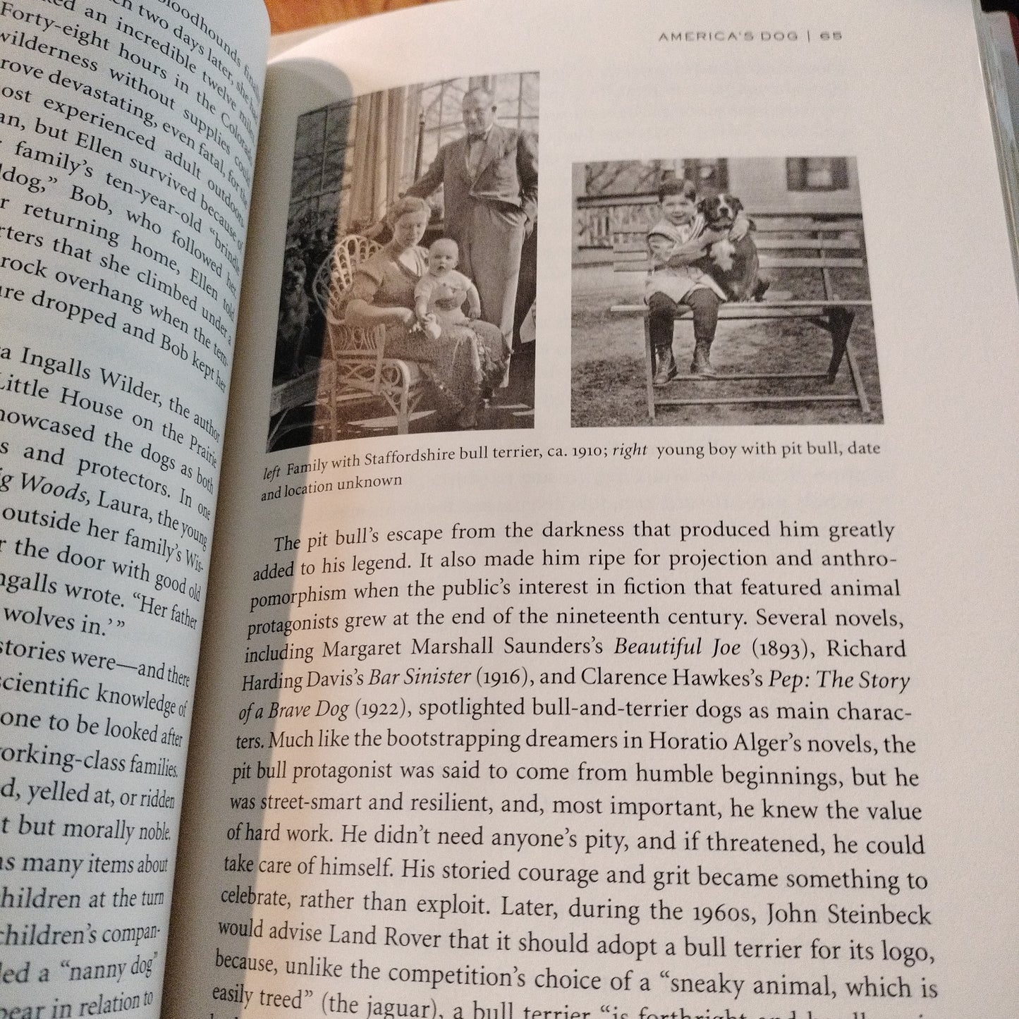 Pit Bull, The battle over an American Icon. Bronwyn Dickey. 2016. Published by Alfred A. Knopf.
