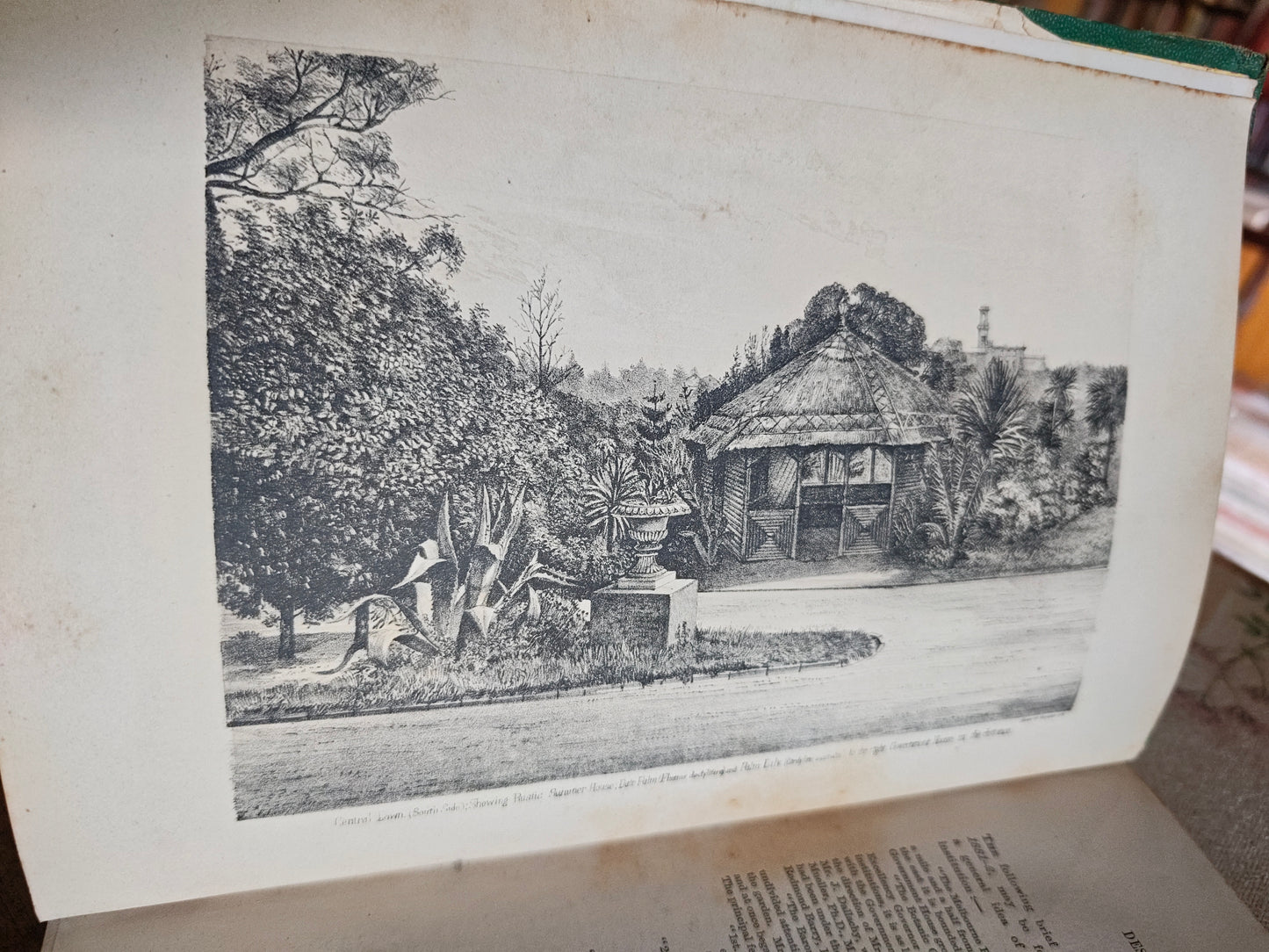 Rare 1883 Catalogue of Plants Under Cultivation - Melbourne Botanic Gardens - W.R. Guilfoyle