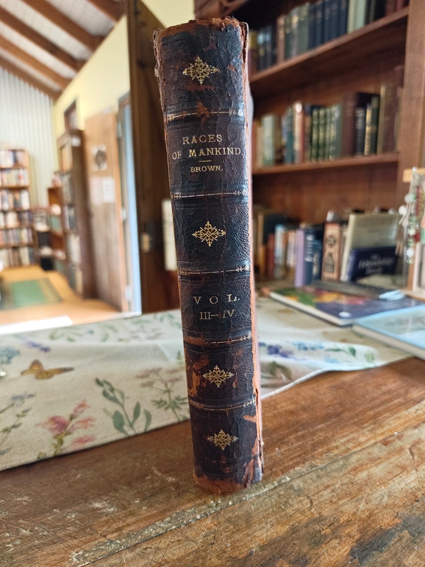 The Races of Mankind (Vol. III) by Robert Brown 1873 (approx).
