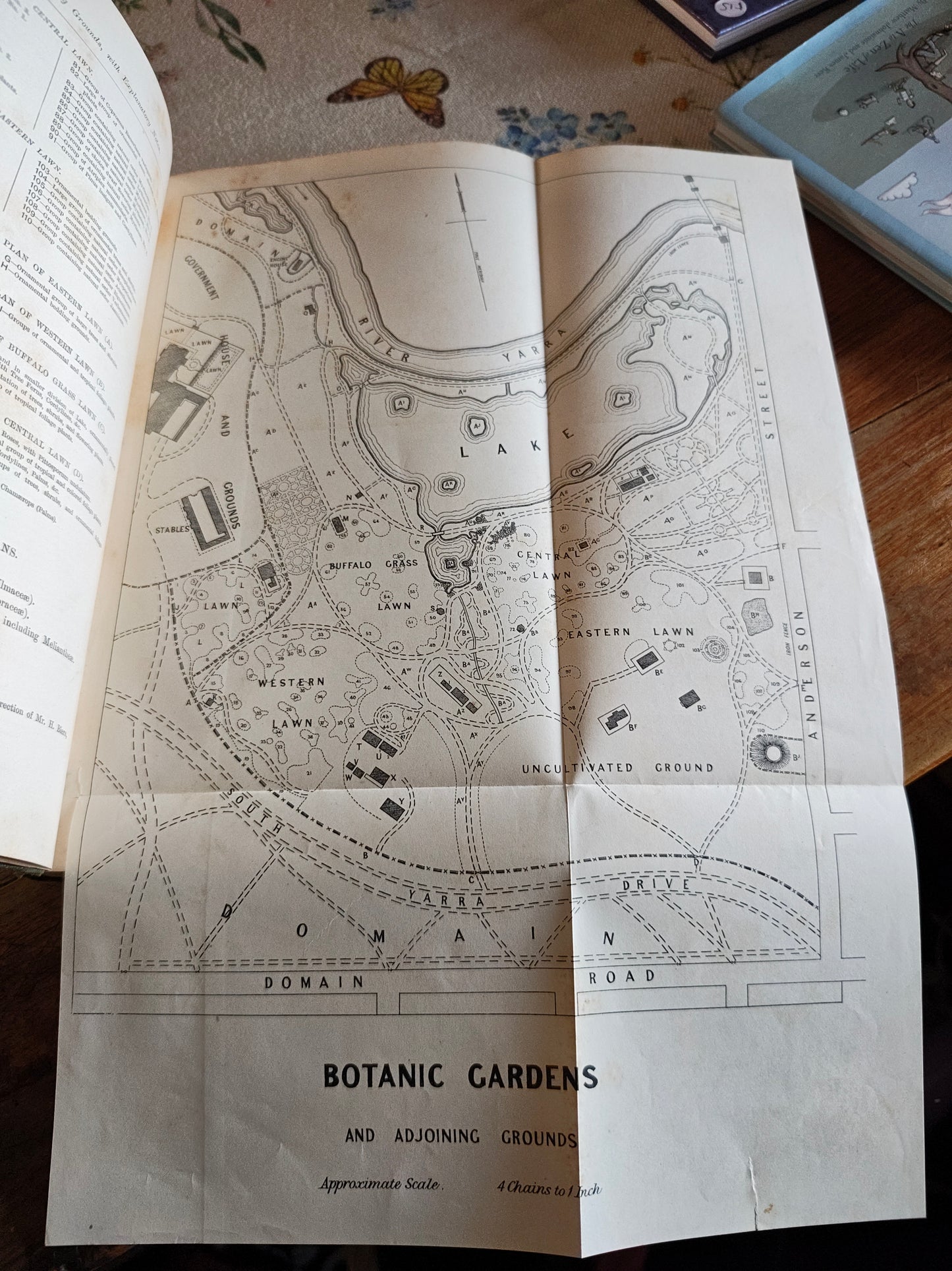 Rare 1883 Catalogue of Plants Under Cultivation - Melbourne Botanic Gardens - W.R. Guilfoyle