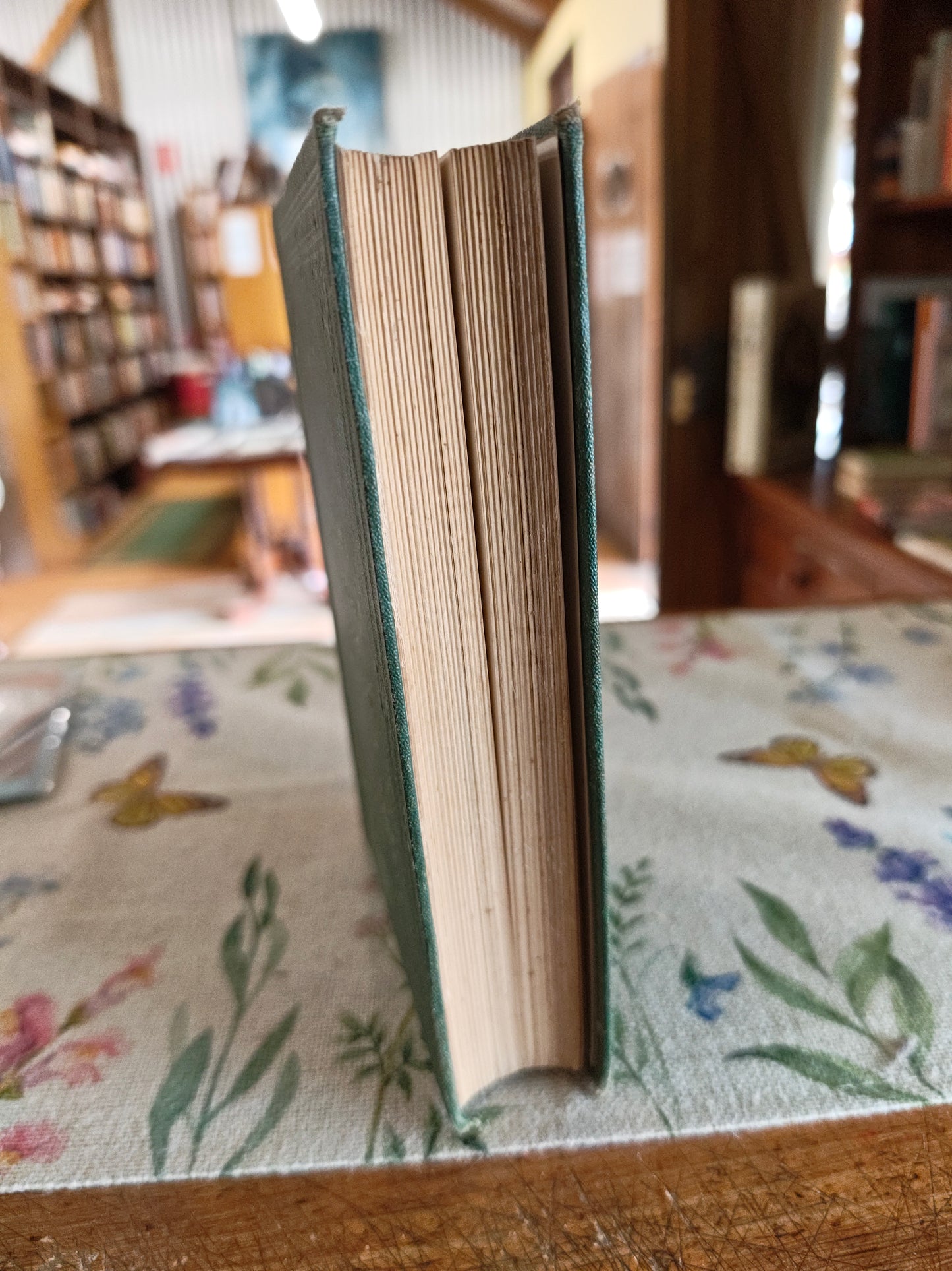 Rare 1876 First Edition: Australasia and the Oceanic Region by W.B. Wildey